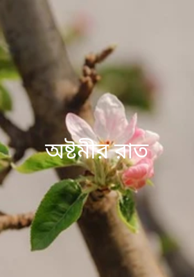 অষ্টমীর রাত