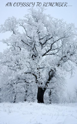 AN ODYSSEY TO REMEMBER.....