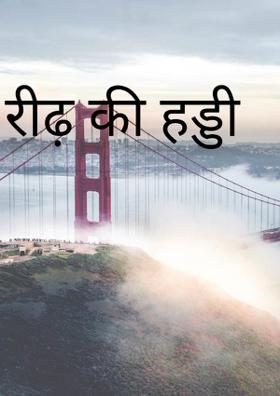 रीढ़ की हड्डी