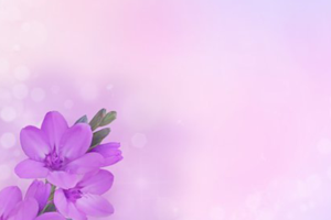 
कुछ चीज़े दूर से ही सुहानी लगती हैं..
जैसे की - ऊंची पहाड़ी... बर्फ़बारी, 
जंगल....दंगल,
कचहरी....नौकरी...,
छोटा बच्चा ...राह सच्चा...।

                        - puja 



