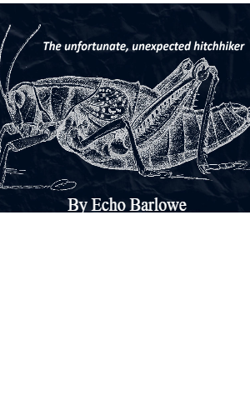 The Unfortunate, Unexpected Hitchhiker