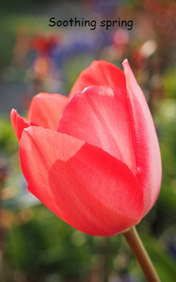 Soothing Spring
