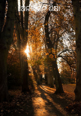 ଅନଲାଇନ ଶିକ୍ଷା