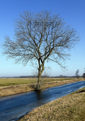 ये ऐसा कयूँ