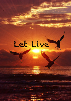 Let Live