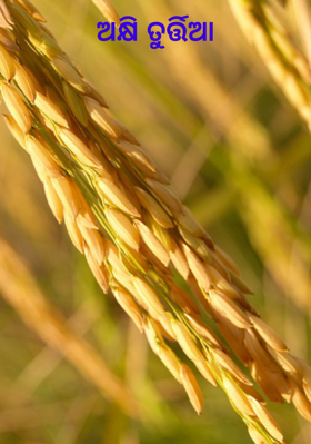 ଅକ୍ଷି ତୁର୍ତ୍ତିଆ