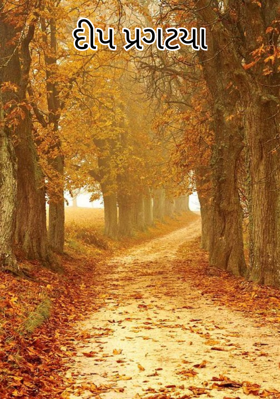 દીપ પ્રગટયા