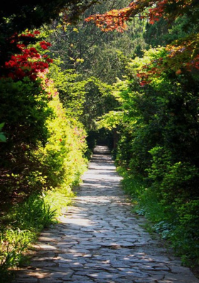 चैत्र पालवी