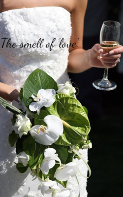 The Smell Of 'Love'.