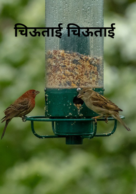 चिऊताई चिऊताई