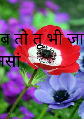 अब तो तू भी जाग जा रे इन्सां