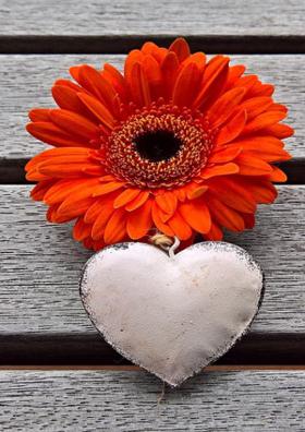 వరుస ఉత్తరం