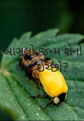 આગલો જન્મ શેનો લેવા ઈચ્છો