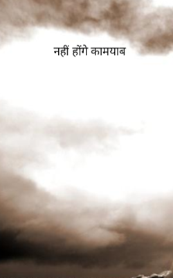 नहीं होंगे कामयाब