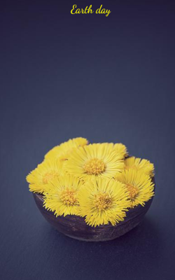 Earth day