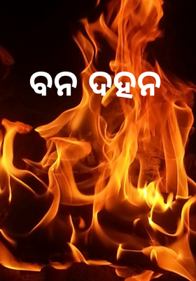 ବନ ଦହନ