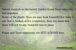 Nature reminds us the beauty hidden in our lives when we feel hopeless.
Some of the plants, trees etc may look beautiful but there is one that is broken down completely, does not mean that there will not be any beautiful tree or plant.

Plants and Trees represents our SITUATIONS here.