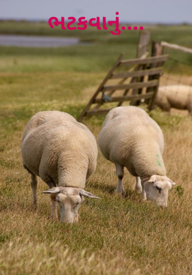 ભટકવાનું