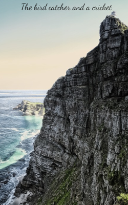 The Bird Catcher And A Cricket