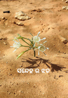 ସନ୍ଦେହର ଝଡ