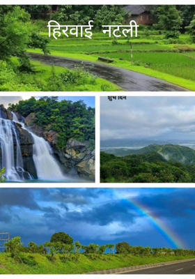 हिरवाई नटली 