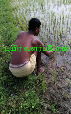 பயிர் வளர்ப்போம்