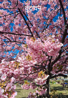 वृंदावन