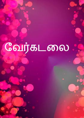 வேர்கடலை
