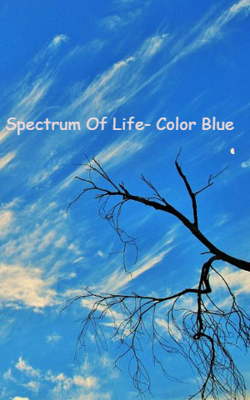 Spectrum Of Life- Color Blue
