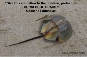 "Give this education to the children, protect the HORSESHOE CRABS."
-Upasana Pattanayak.