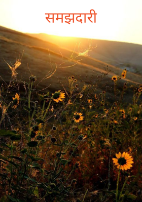 समझदारी