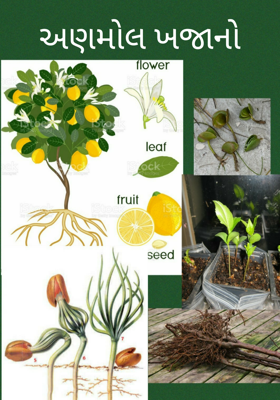 અણમોલ ખજાનો