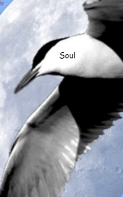 Soul