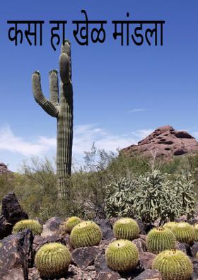 कसा हा खेळ मांडला