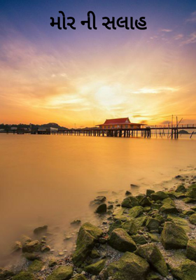 મોરની સલાહ