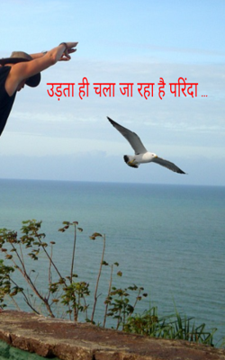 उड़ता ही चला जा रहा है परिंदा
