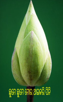 ଛୁମେ ଛୁମେ ମୋର ଥାଇକରି ପିନି