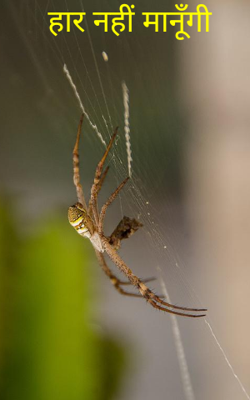 हार नहीं मानूँगी