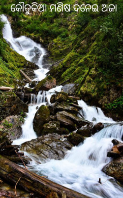 କୌତୁକିଆ ମଣିଷ ଦନେଇ ଅଜା