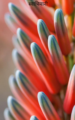 स्वाभिमानी