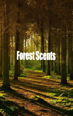 Forest Scents