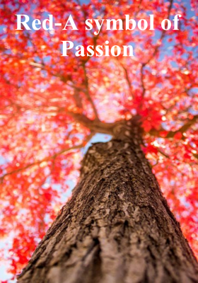Red-A symbol of Passion