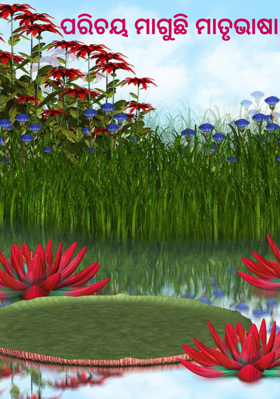 ପରିଚୟ ମାଗୁଛି ମାତୃଭାଷା