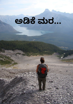 ಅಡಿಕೆ ಮರ...