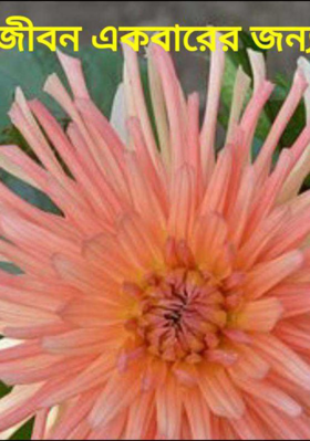 জীবন একবারের জন‍্য!