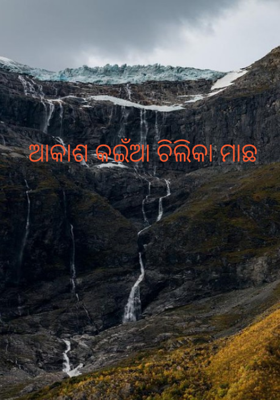 ଆକାଶ କଇଁଆ ଚିଲିକା ମାଛ