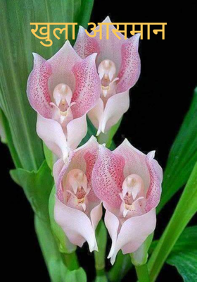 खुला आसमान