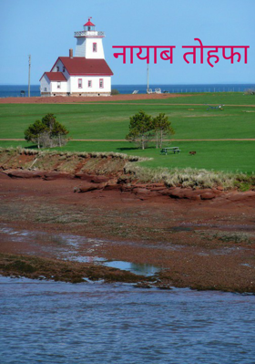 नायाब तोहफा