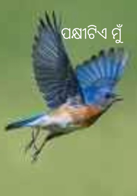 ପକ୍ଷୀଟିଏ ମୁଁ 