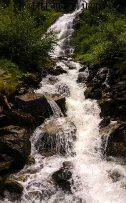 कितने बेफीर हो भैय्या